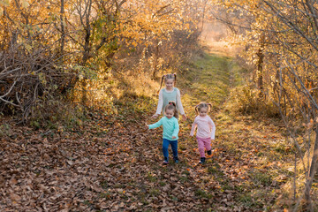 Fototapeta premium children walk, play, socialize and have fun in the autumn park on a warm sunny day, lifestyle