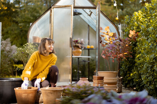 Woman planting flower bulbs in clay jugs for growing in glass orangery at garden. Florist gardening at beautiful backyard on sunny morning