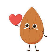 Almond vector. Almond character design. Almond on white background.