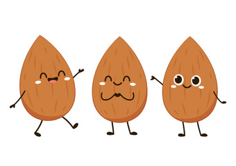Almond vector. Almond character design. Almond on white background.