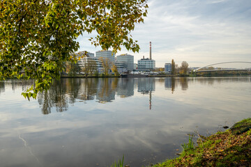 a body of water surrounded by trees