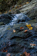 a close up of a rock with waterfall in woods