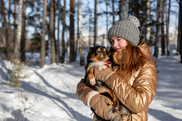 A young girl in the forest in winter holds a dog in her arms and enjoys the weather and the sun outdoors