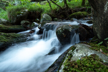 Fototapeta premium Small waterfall in the forest after the rain