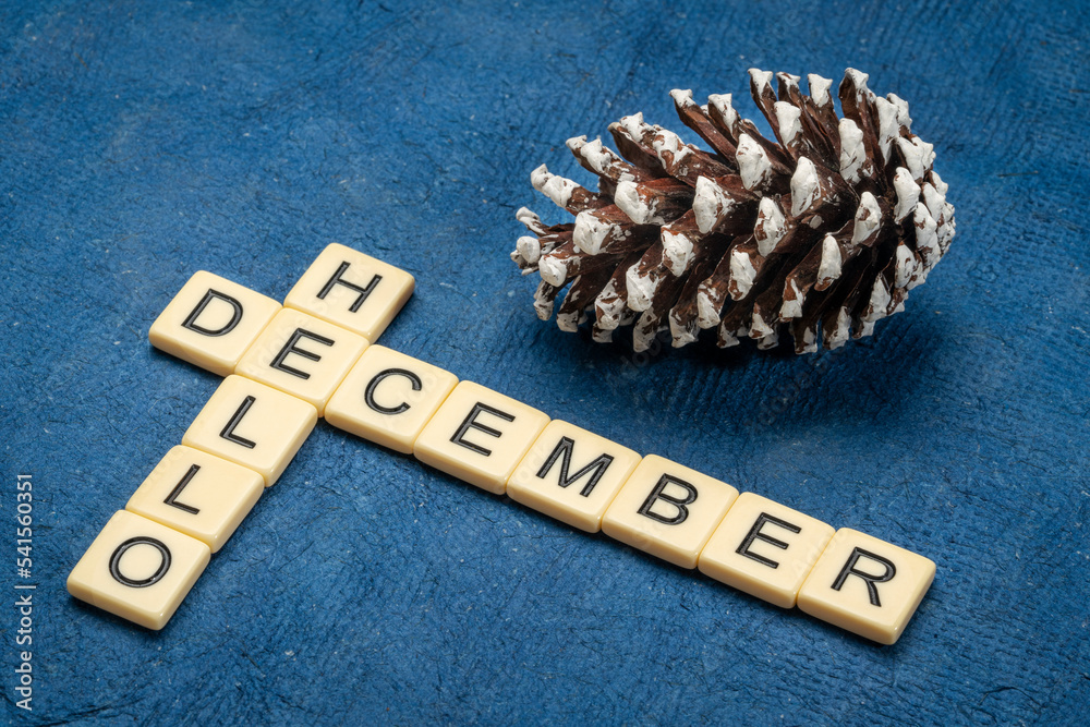 Wall mural Hello December crossword in ivory letter blocks with a decorative, frosty, pine cone