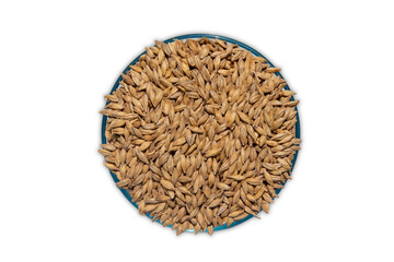 pilsen malt grain in clear bowl