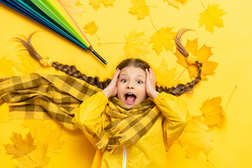 A little girl is lying on autumn maple leaves, on a yellow background. A child with pigtails in a...