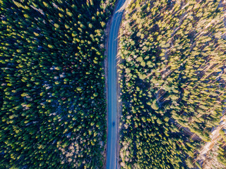 Aerial Mountain Road in Colorado