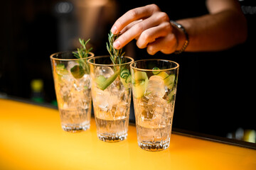 Selective focus on glasses with gin tonic cocktail which hand of bartender decorate with rosemary...