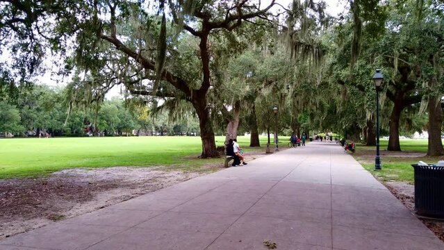 Beautiful Park In Downtown Savanah Ga. Candler Oak Trees