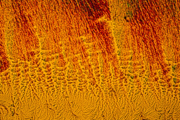 This is a picture of the crystals of the chemical substance Ascorbicacid, vitamin C, made by a microscope in polarized light.