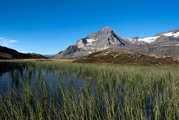 the Dent Parrachee, in all its splendor, the highest summit of the Vanoise in the French Alps