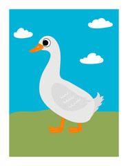 colorful goose in the grass