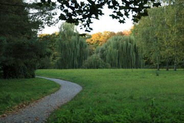 Obraz premium Path in the forest in autumn