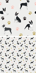 Seamless Boston Terrier dog pattern, holiday texture. Square format, t-shirt, poster, packaging, textile, socks, textile, fabric, decoration, wrapping paper. Trendy hand-drawn Boston Terrier dogs.