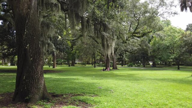 Walking Through a Pretty Park In Savanah Georgia