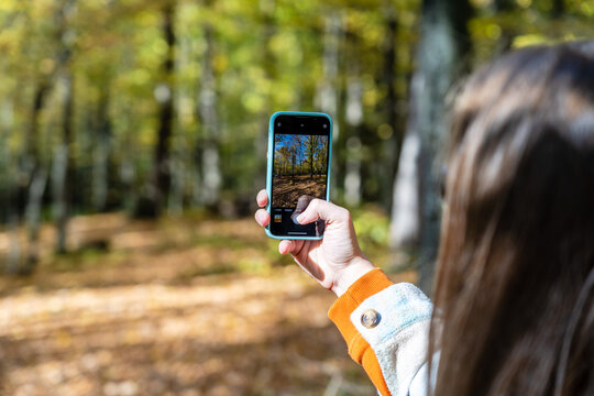 Woman taking a picture of forest at autumn