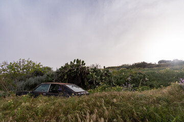 rust old car in the field