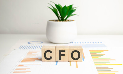 concept word CFO on cubes on a white background with green plant