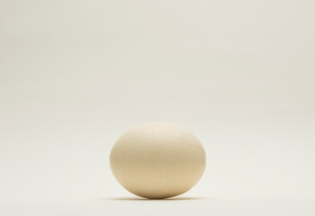 ostrich egg isolated on white background for podium background