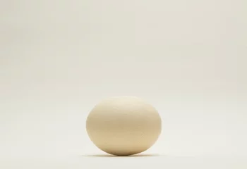 Tuinposter ostrich egg isolated on white background for podium background © serhii