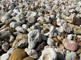 DAKHLA LANDSCAPE SAHARA SEA WATER FISH FISHING 