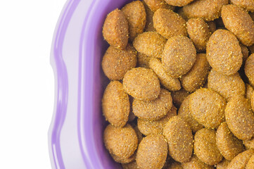 Dry food for pets. Balanced feeding for cats and dogs in a violet bowl.