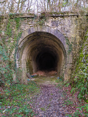 Fototapeta na wymiar Túnel misterioso
