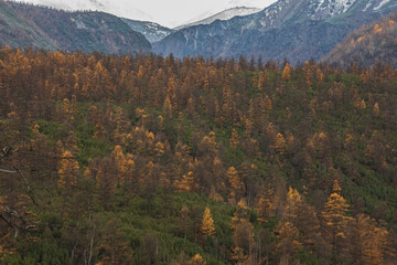 autumn in the mountains