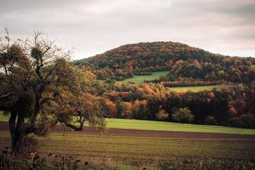 Hiking in the autumn fall countryside of the Saarland in Golden October Germany, Europe