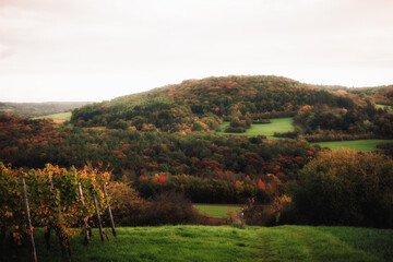 Hiking in the autumn fall countryside of the Saarland in Golden October Germany, Europe