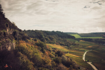 Hiking in the autumn fall countryside of the Saarland in Golden October Germany, Europe