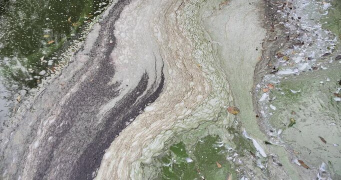 Nuances de couleurs de d&eacute;chets organiques flottant sur surface d'eau
