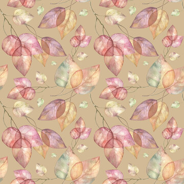 Autumn leaves watercolor hand drawn set. Transparent autumn foliage seamless pattern. Branch with leaves logo design template.