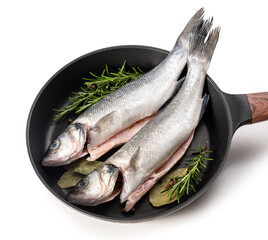 Sea bass fish. Two peeled raw sea bass, spices and rosemary branches in a skillet