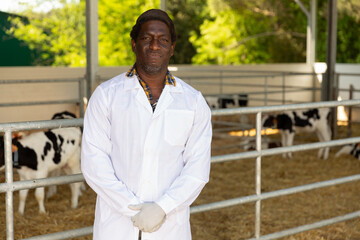 Portrait of positive afro american veterinarian inspecting calves in dairy farm