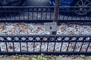 A metallic sign at the base of the sidewalk tree states that good neighbors curb their dogs....