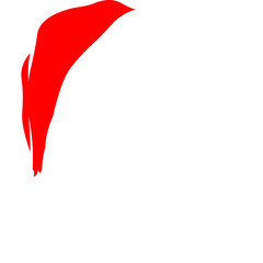 santa claus hat and beard illustration