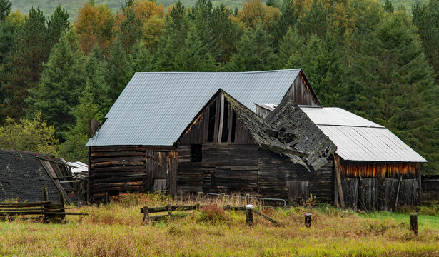 old log barns in a field