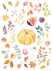 Watercolor pumpkin and flora illustrations DIY set. Create your frame,wreath, bouquet, arrangement, border,banner. Autumn flowers, fall wedding stationery, suite,invite, save the date, rsvp, thank you