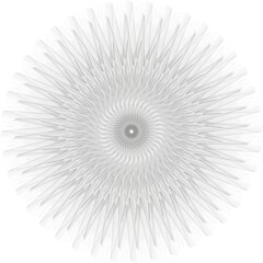Fototapeta premium Ilustración/Diseño geométrico 3D hecho con lineas (forma mandala) nº9