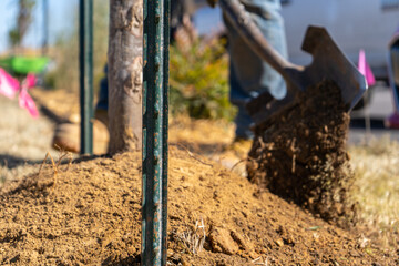 Landscaping Landscaper Planting