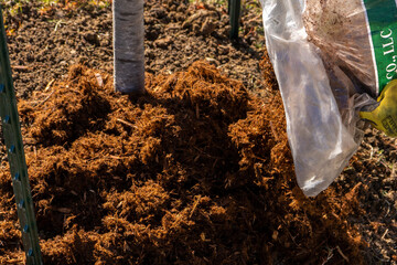 Landscaping Landscaper Planting