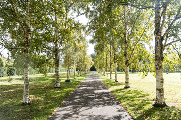 A footpath in park De Goffert (Goffertpark) in Nijmegen, Netherlands with trees on each side on a sunny afternoon in early autumn