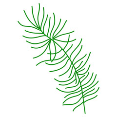 Christmas Pine leaf, Digital paint illustration