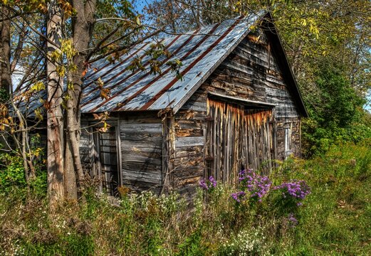 old abandoned wooden building in the woods