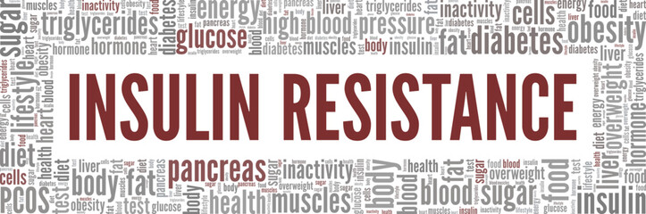Insulin Resistance word cloud conceptual design isolated on white background.