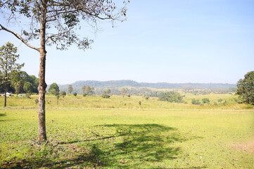 Thung Salaeng Luang National Park, Phetchabon, Thailand. Beautiful landscape  in grassland savannah. Thung Salaeng Luang is grassland savannah in Thailand