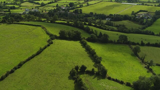 Aerial flyover view of rural rolling landscape / Cavan, Cavan, Ireland