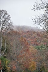 Fototapeta premium fall in the blue ridge mountains